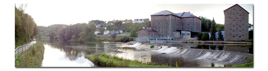 Weiter zu unserer Homepage